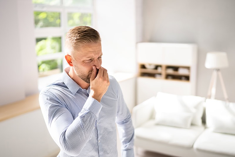 Common Sewer Odors in Your Maricopa County Home: What’s That Smell?