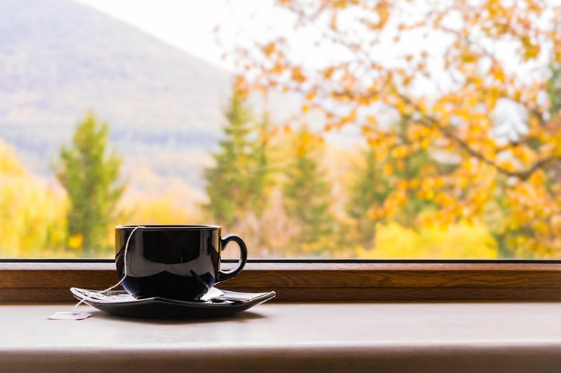 A black cup of tea with a teabag sits on a saucer by a windowsill, set against a scenic backdrop of autumn trees and distant mountains.